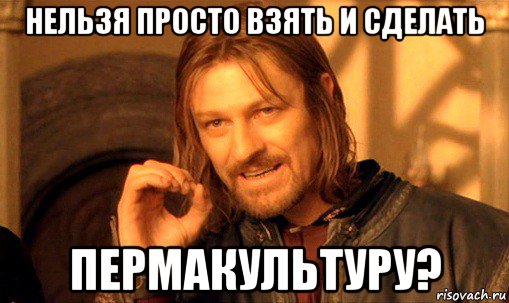 нельзя просто взять и сделать пермакультуру?, Мем Нельзя просто так взять и (Боромир мем)