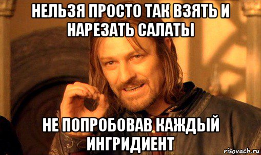 нельзя просто так взять и нарезать салаты не попробовав каждый ингридиент, Мем Нельзя просто так взять и (Боромир мем)