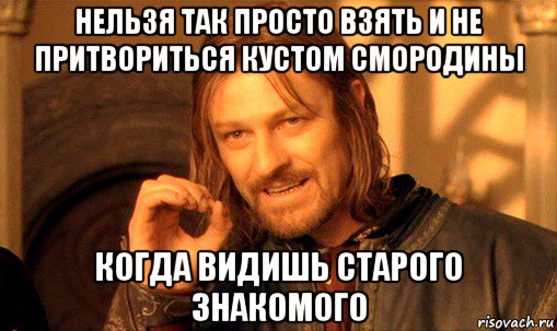 нельзя так просто взять и не притвориться кустом смородины когда видишь старого знакомого, Мем Нельзя просто так взять и (Боромир мем)