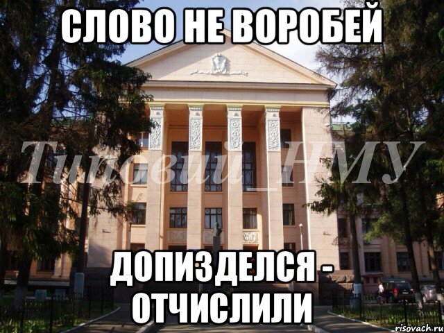 Слово не воробей Допизделся - отчислили, Мем Нму
