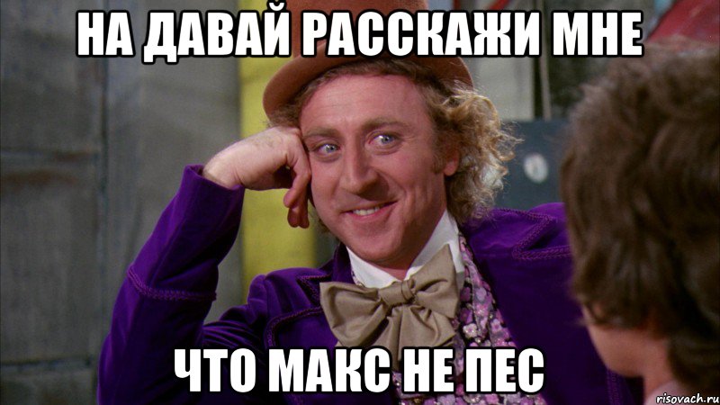 На давай расскажи мне Что Макс не пес, Мем Ну давай расскажи (Вилли Вонка)