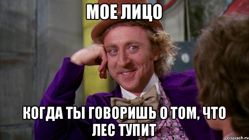 мое лицо когда ты говоришь о том, что лес тупит, Мем Ну давай расскажи (Вилли Вонка)