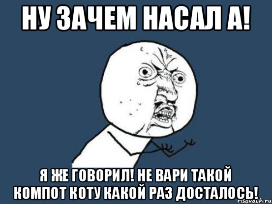 ну зачем насал а! я же говорил! не вари такой компот коту какой раз досталось!, Мем Ну почему