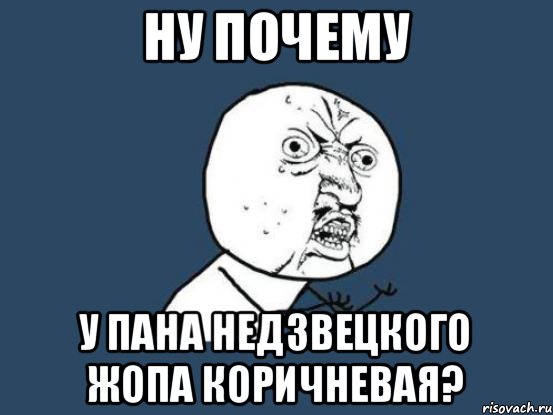 Ну почему У пана Недзвецкого жопа коричневая?, Мем Ну почему