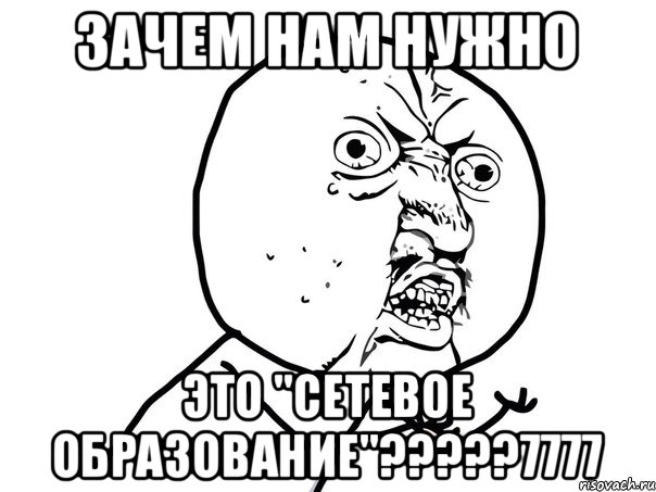 Зачем нам нужно это "СЕТЕВОЕ ОБРАЗОВАНИЕ"?????7777, Мем Ну почему (белый фон)