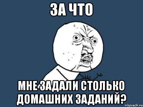 за что мне задали столько домашних заданий?, Мем Ну почему