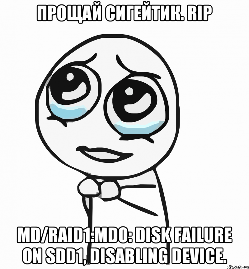 Прощай сигейтик. RIP md/raid1:md0: Disk failure on sdd1, disabling device., Мем  ну пожалуйста (please)