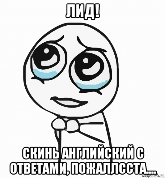 лид! скинь английский с ответами, пожаллсста...., Мем  ну пожалуйста (please)