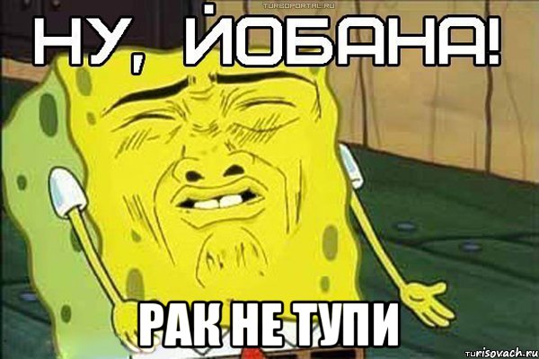  Рак не тупи