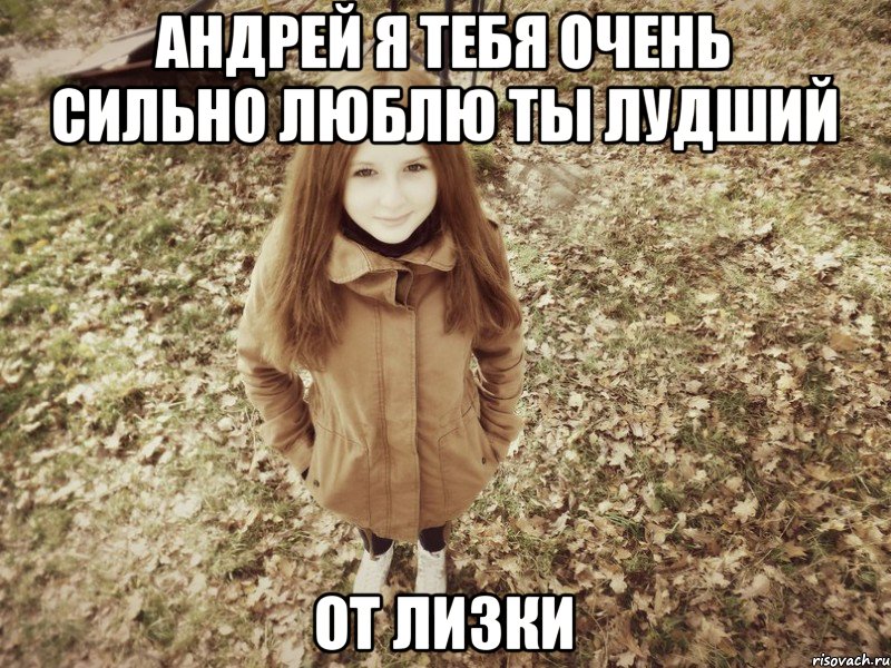 андрей я тебя очень сильно люблю ты лудший от лизки, Мем о