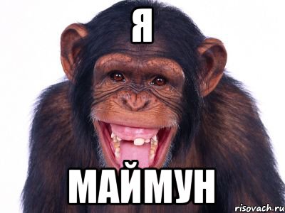 я маймун
