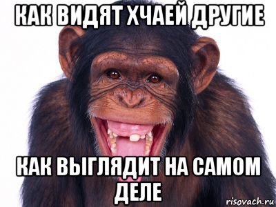 как видят хчаей другие как выглядит на самом деле