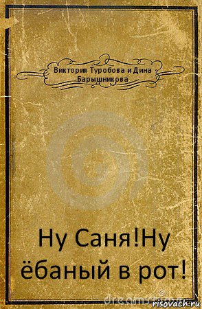 Виктория Туробова и Дина Барышникова Ну Саня!Ну ёбаный в рот!, Комикс обложка книги