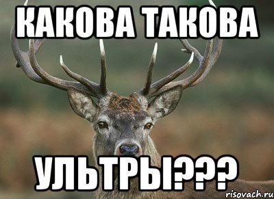 какова такова ультры???