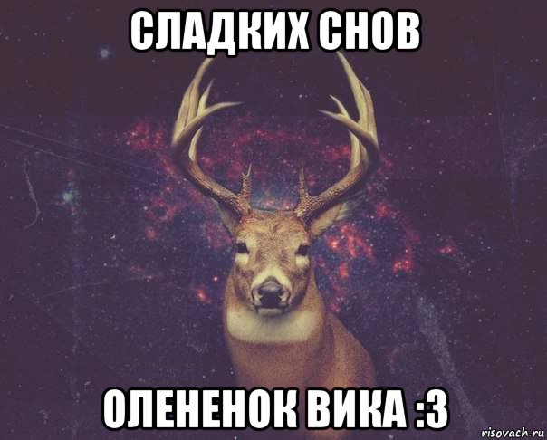 сладких снов олененок вика :3