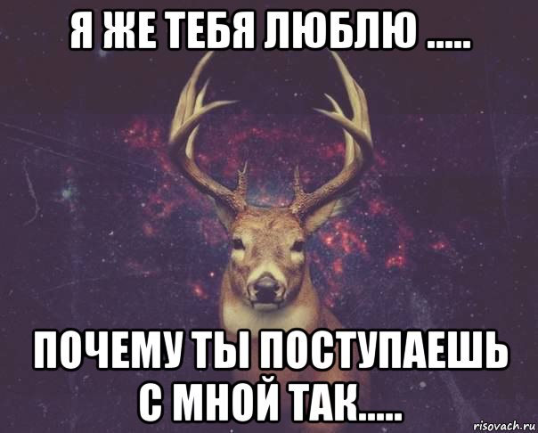 я же тебя люблю ..... почему ты поступаешь с мной так.....