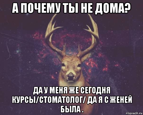 а почему ты не дома? да у меня же сегодня курсы/стоматолог/ да я с женей была ., Мем  олень наивный