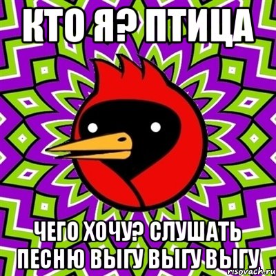 Кто я? Птица Чего хочу? Слушать песню ВЫГУ ВЫГУ ВЫГУ, Мем Омская птица