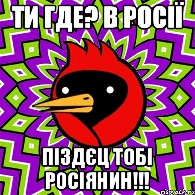 Ти где? В Росії Піздєц тобі росіянин!!!, Мем Омская птица