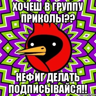 хочеш в группу приколы?? нефиг делать подписывайся!!, Мем Омская птица