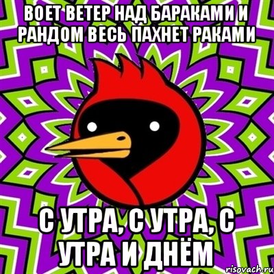 воет ветер над бараками и рандом весь пахнет раками с утра, с утра, с утра и днём, Мем Омская птица