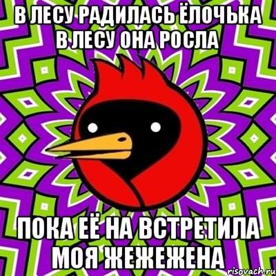 В лесу радилась ёлочька в лесу она росла Пока её на встретила моя жежежена, Мем Омская птица