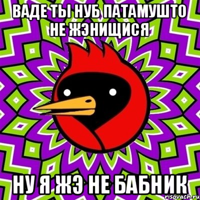 ваде ты нуб патамушто не жэнищися ну я жэ не бабник, Мем Омская птица