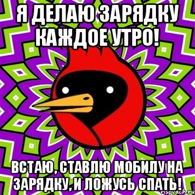 Я делаю зарядку каждое утро! Встаю, ставлю мобилу на зарядку, и ложусь спать!, Мем Омская птица