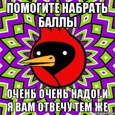 ПОМОГИТЕ НАБРАТЬ БАЛЛЫ ОЧЕНЬ ОЧЕНЬ НАДО! И Я ВАМ ОТВЕЧУ ТЕМ ЖЕ, Мем Омская птица