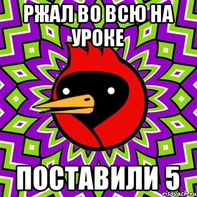 Ржал во всю на уроке поставили 5, Мем Омская птица