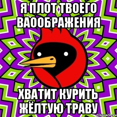 Я ПЛОТ ТВОЕГО ВАООБРАЖЕНИЯ ХВАТИТ КУРИТЬ ЖЁЛТУЮ ТРАВУ, Мем Омская птица