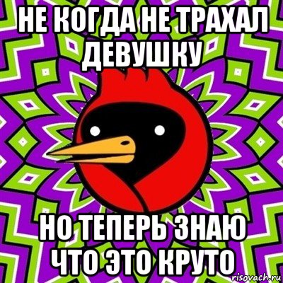 не когда не трахал девушку но теперь знаю что это круто, Мем Омская птица