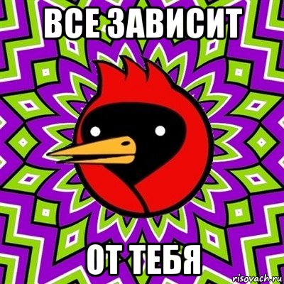 все зависит от тебя, Мем Омская птица