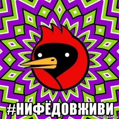  #нифёдовживи, Мем Омская птица