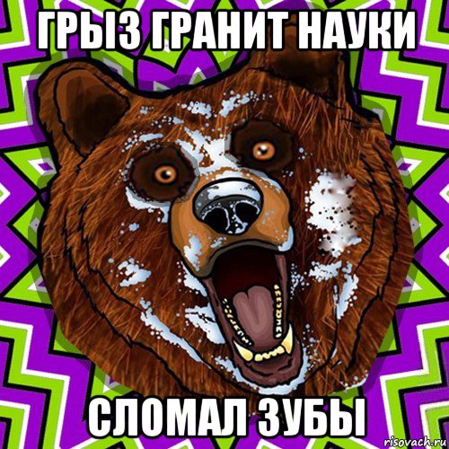грыз гранит науки сломал зубы, Мем Омский медведь