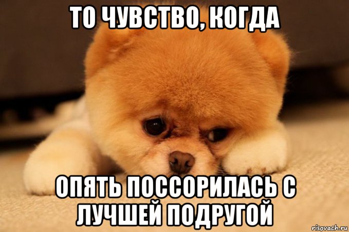 как нам не сореться с лучшей подругой как нам не сореться с лучшей подругой