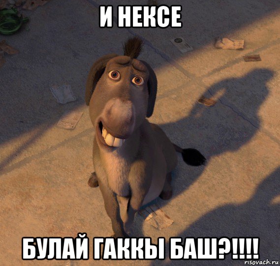 и нексе булай гаккы баш?!!!!, Мем Осёл