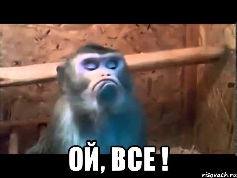 Ой, Все !, Мем Ой все