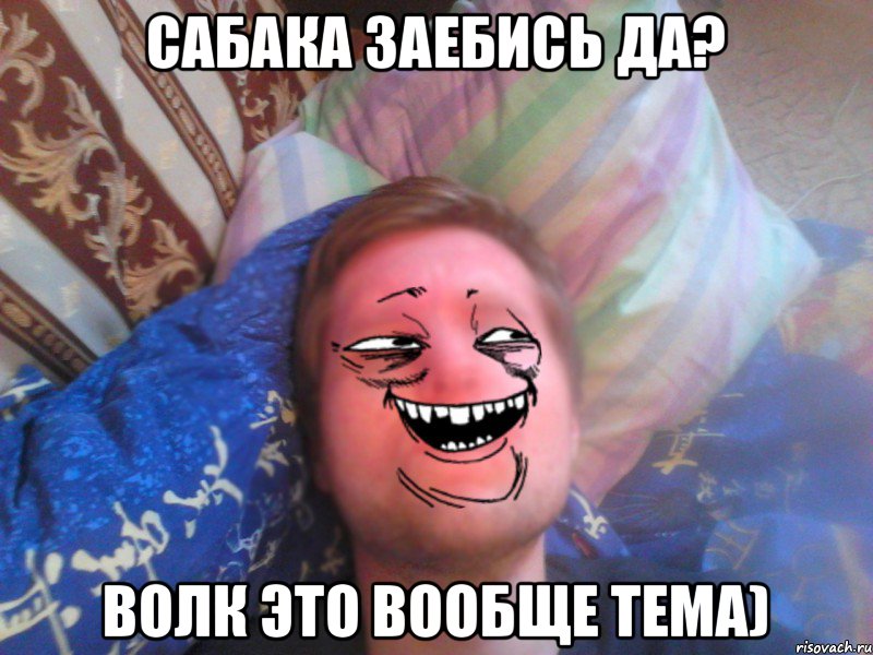 сабака заебись да? волк это вообще тема)