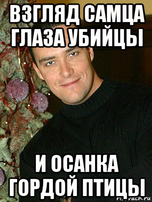 взгляд самца глаза убийцы и осанка гордой птицы, Мем ПАПИН БРОДЯГА МАМИН СИМПАТЯГА