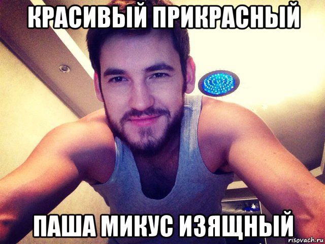красивый прикрасный паша микус изящный