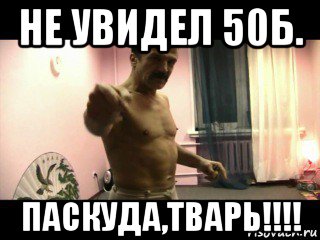 не увидел 50б. паскуда,тварь!!!!, Мем Паскуда тварь