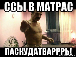 ссы в матрас паскудатварррь!, Мем Паскуда тварь