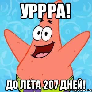 Уррра! До лета 207 дней!, Мем Патрик