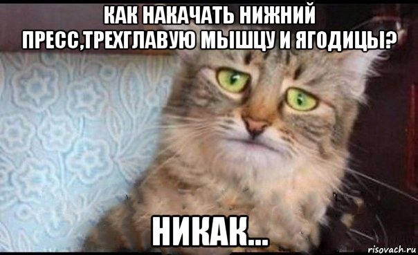 как накачать нижний пресс,трехглавую мышцу и ягодицы? никак...