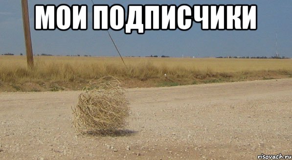 мои подписчики , Мем перекати-поле одиночество