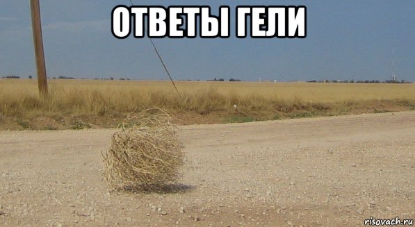 ответы гели , Мем перекати-поле одиночество