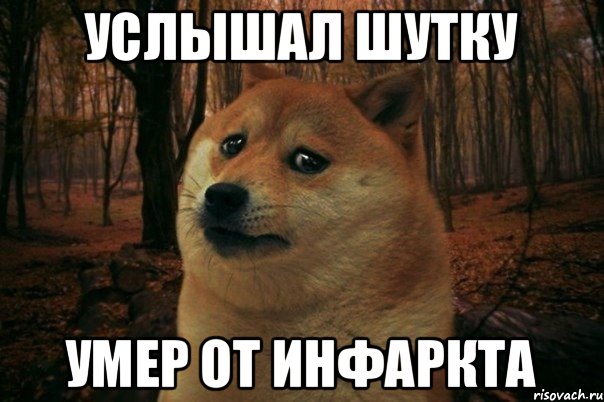 услышал шутку умер от инфаркта, Мем SAD DOGE