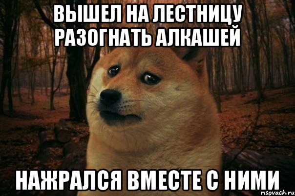 вышел на лестницу разогнать алкашей нажрался вместе с ними, Мем SAD DOGE