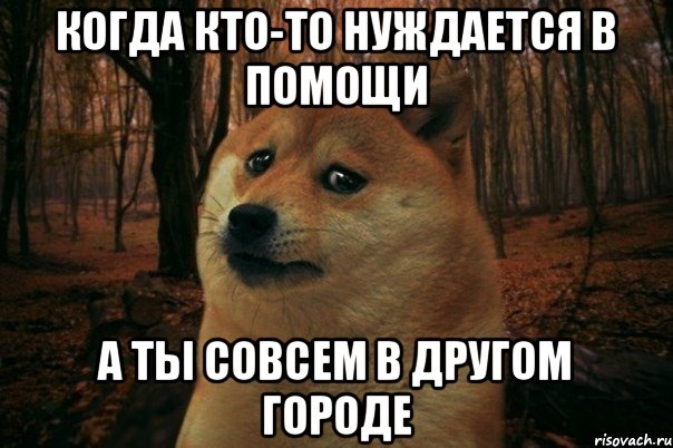 когда кто-то нуждается в помощи а ты совсем в другом городе, Мем SAD DOGE